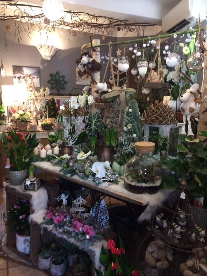 interieur-boutique-fleuriste-decoration