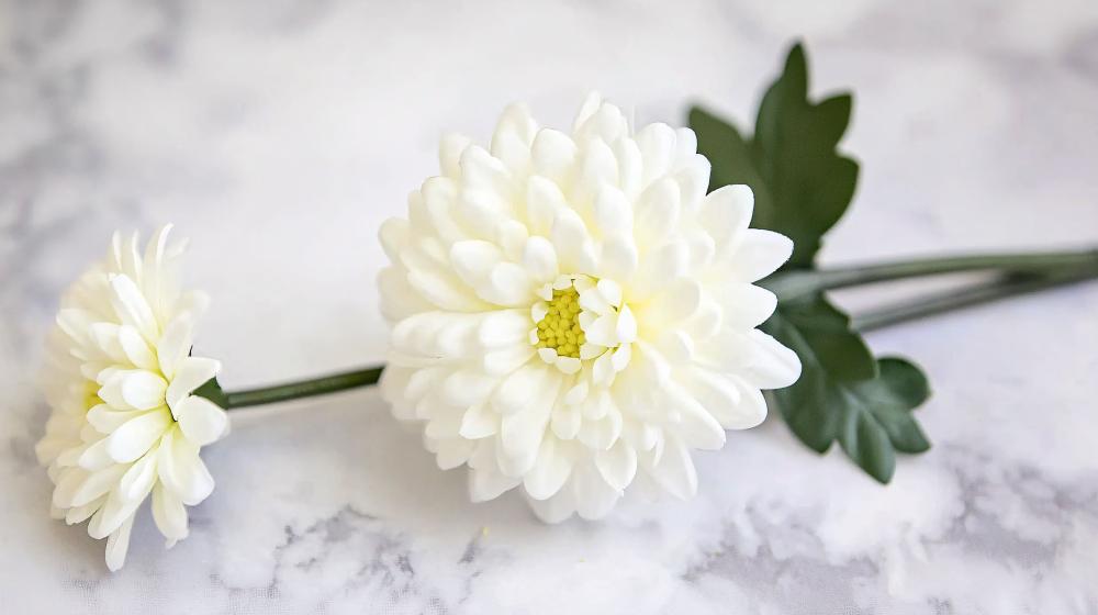 obseque fleurs 2